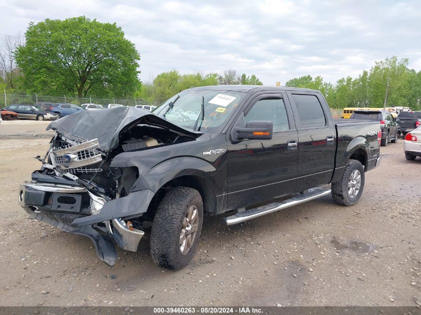 2013 Ford F-150 Xlt VIN: 1FTFW1EF6DFA22678 Lot: 39460263