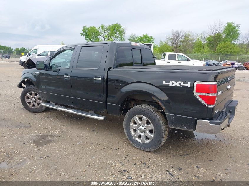 2013 Ford F-150 Xlt VIN: 1FTFW1EF6DFA22678 Lot: 39460263