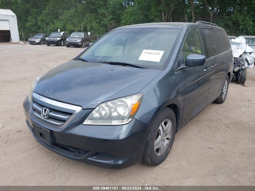 2006 Honda Odyssey Ex-L VIN: 5FNRL38626B446668 Lot: 39461151