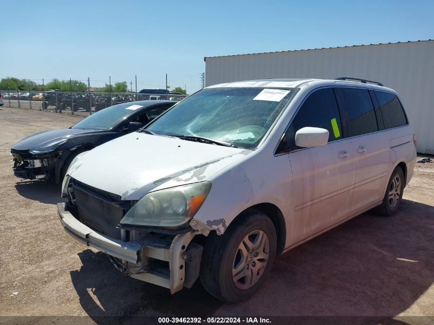 2007 Honda Odyssey Ex-L VIN: 5FNRL38787B095260 Lot: 39462392