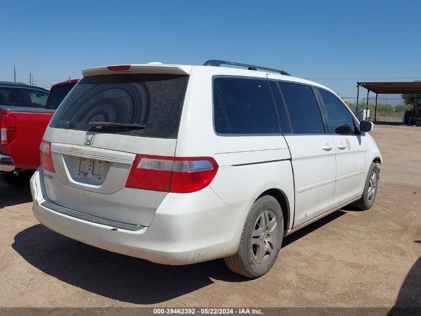 2007 Honda Odyssey Ex-L VIN: 5FNRL38787B095260 Lot: 39462392