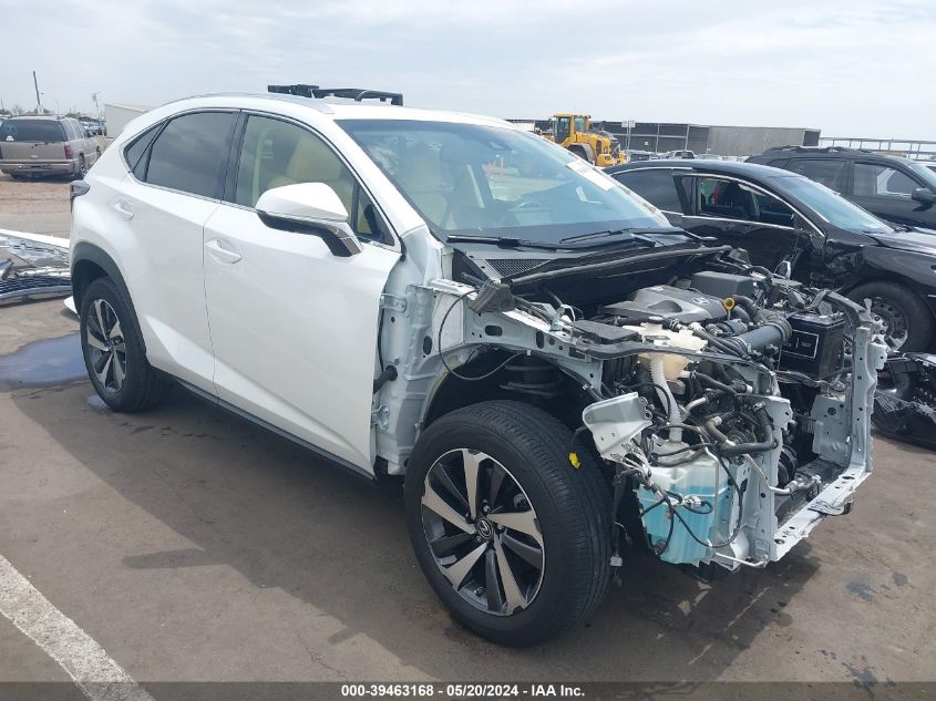 2019 Lexus Nx 300 VIN: JTJYARBZXK2141730 Lot: 39463168