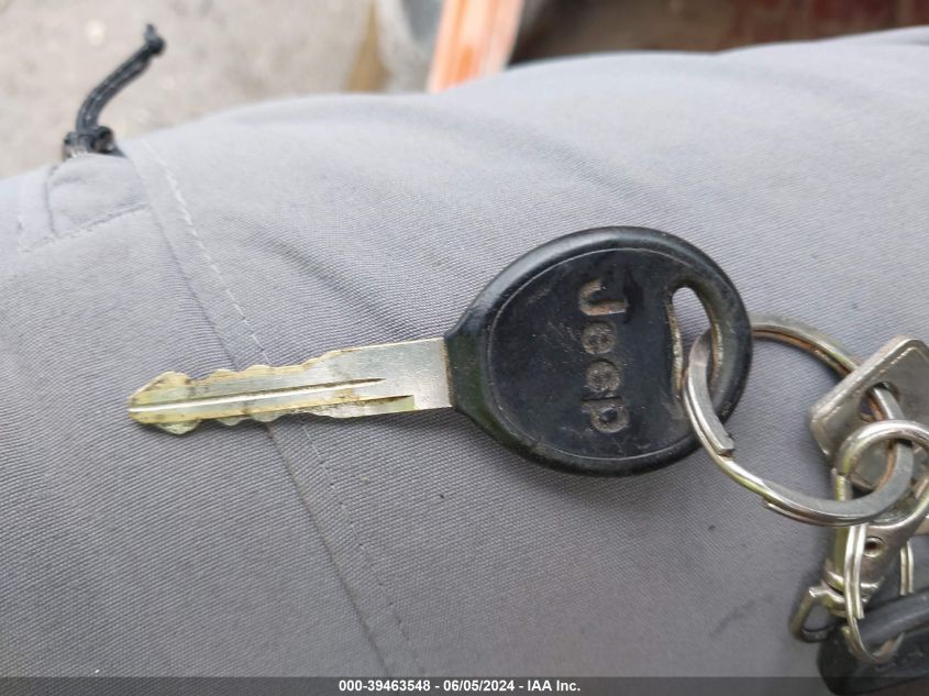 2000 Jeep Wrangler Se VIN: 1J4FA29P9YP802613 Lot: 39463548