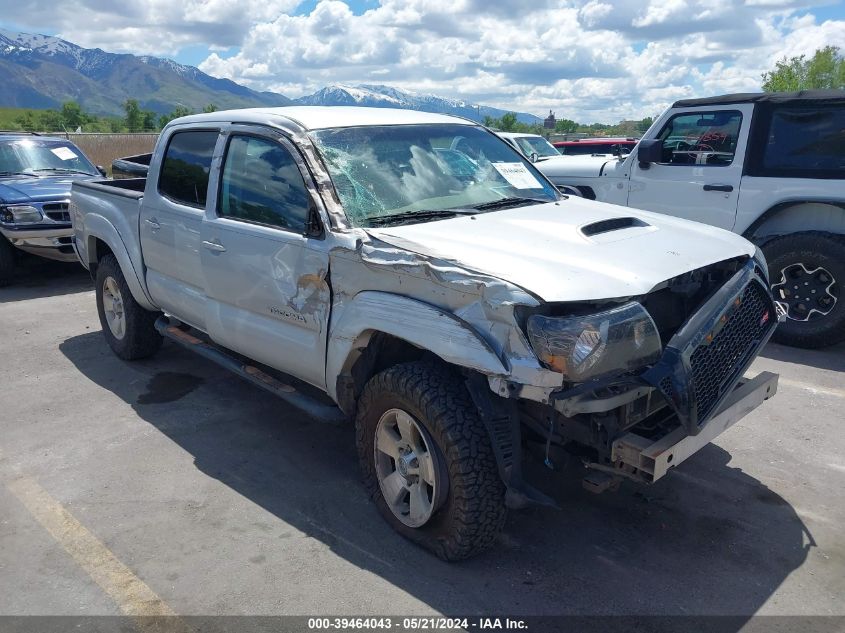 2005 Toyota Tacoma Prerunner V6 VIN: 3TMJU62N75M007617 Lot: 39464043