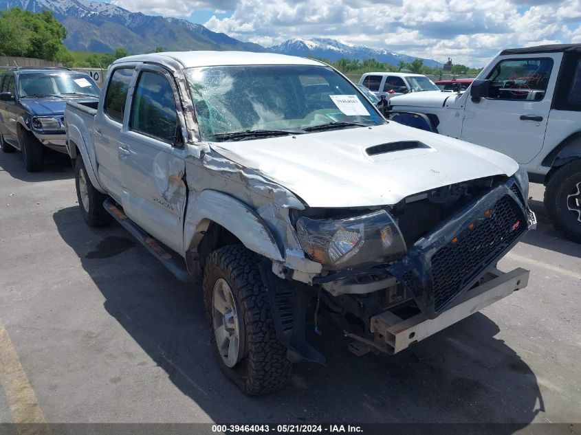 2005 Toyota Tacoma Prerunner V6 VIN: 3TMJU62N75M007617 Lot: 39464043