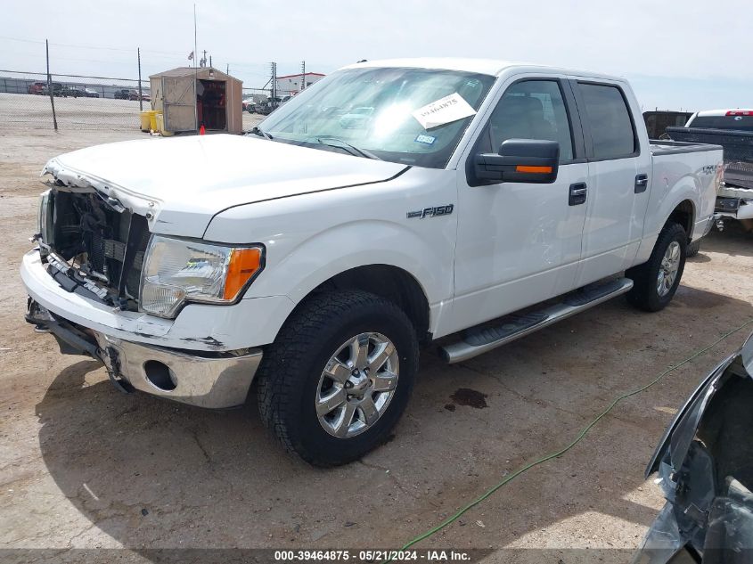 2013 FORD F-150 XLT - 1FTFW1EF5DKF78293