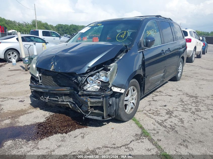 2006 Honda Odyssey Ex-L VIN: 5FNRL38756B462095 Lot: 39465720