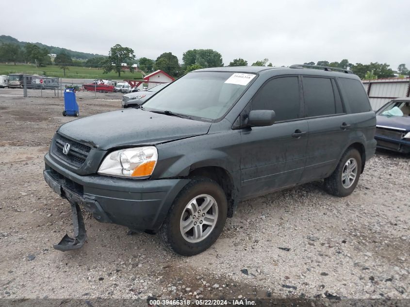 2005 Honda Pilot Ex-L VIN: 5FNYF18655B036520 Lot: 39466318