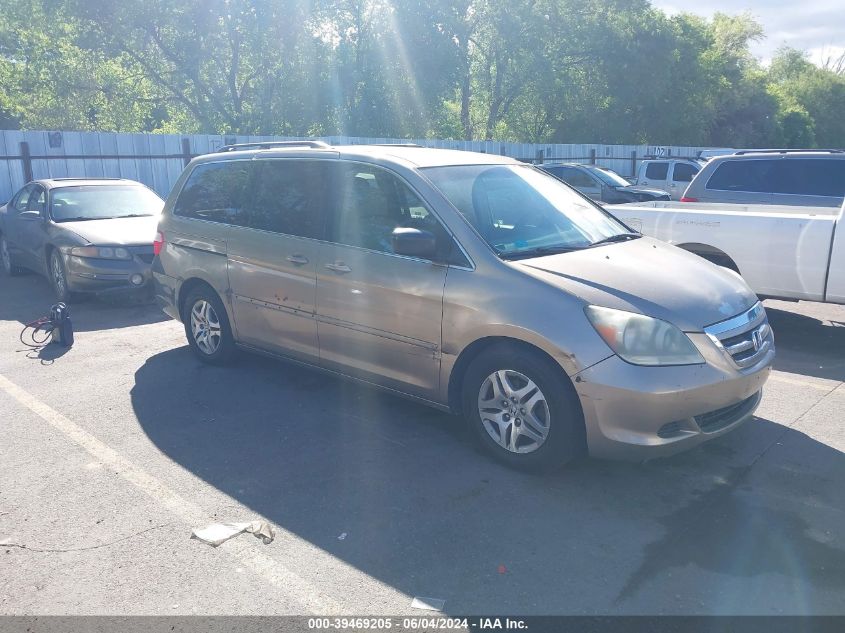 2005 Honda Odyssey Ex VIN: 5FNRL38425B024171 Lot: 39469205