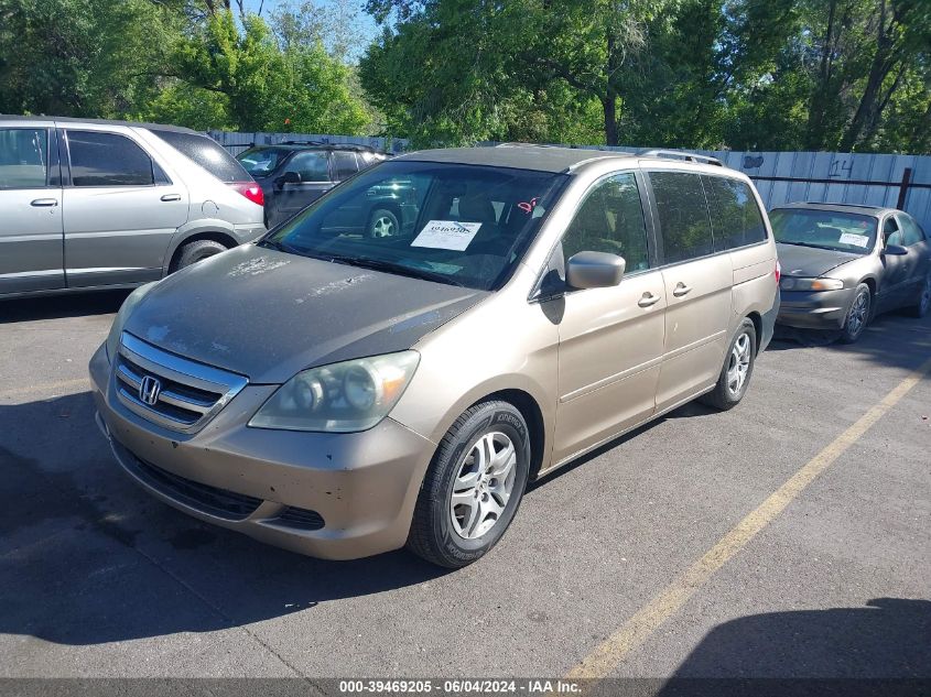 2005 Honda Odyssey Ex VIN: 5FNRL38425B024171 Lot: 39469205