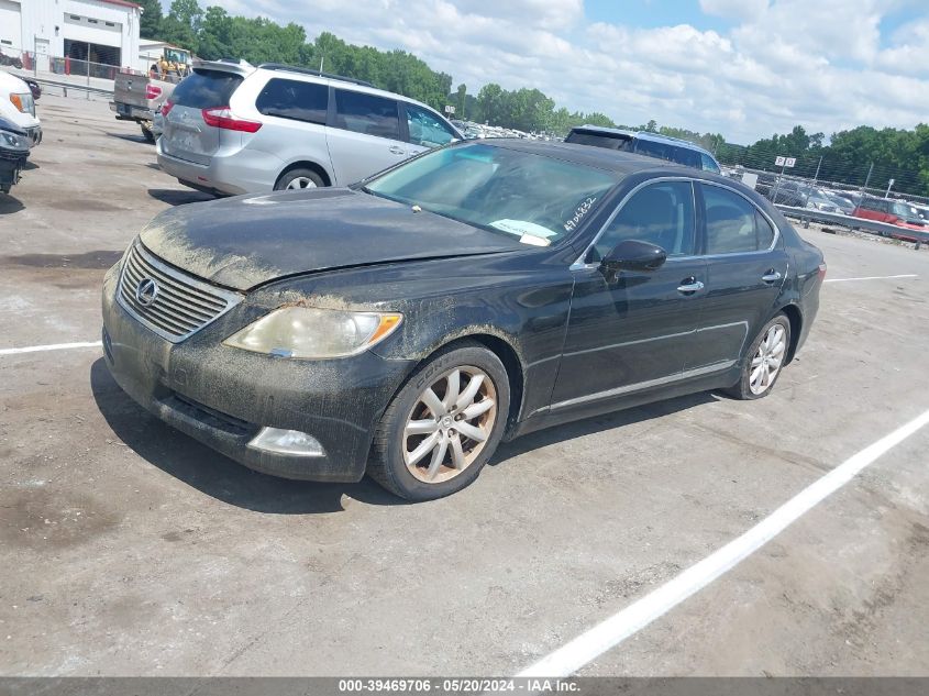 2009 Lexus Ls 460 VIN: JTHBL46F695086304 Lot: 39469706