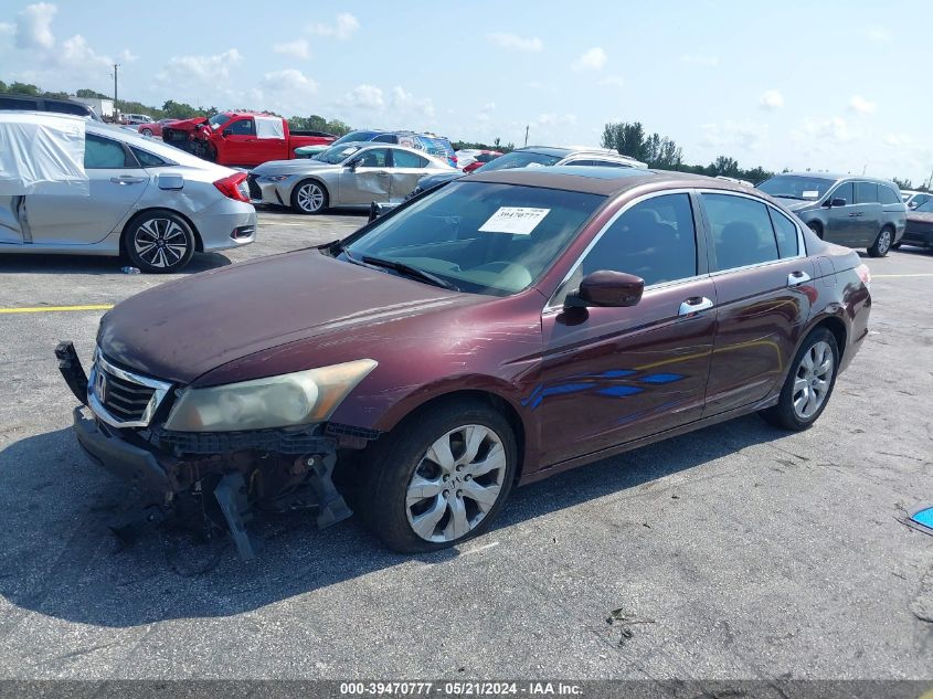 2010 Honda Accord Exl VIN: 5KBCP3F85AB012737 Lot: 39470777