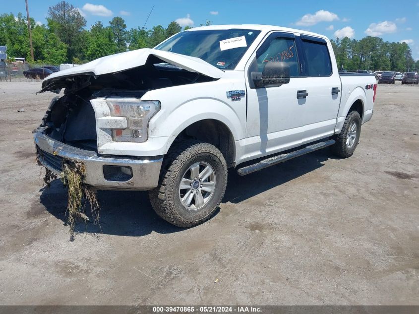 2015 FORD F-150 XLT - 1FTEW1EF8FFA59083