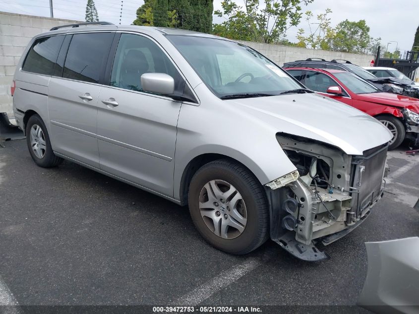 2007 Honda Odyssey Ex-L VIN: 5FNRL38717B428236 Lot: 39472753