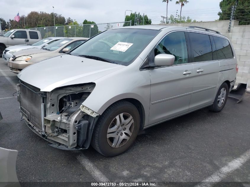 2007 Honda Odyssey Ex-L VIN: 5FNRL38717B428236 Lot: 39472753