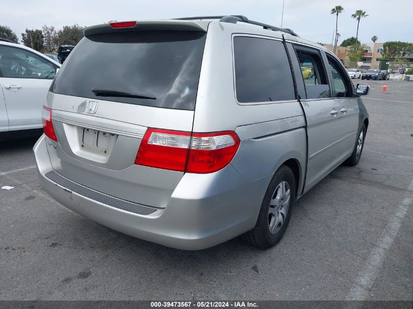 2007 Honda Odyssey Ex-L VIN: 5FNRL38727B136174 Lot: 39473567