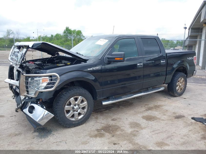 2014 Ford F-150 Xlt VIN: 1FTFW1EF3EKE18236 Lot: 39473737