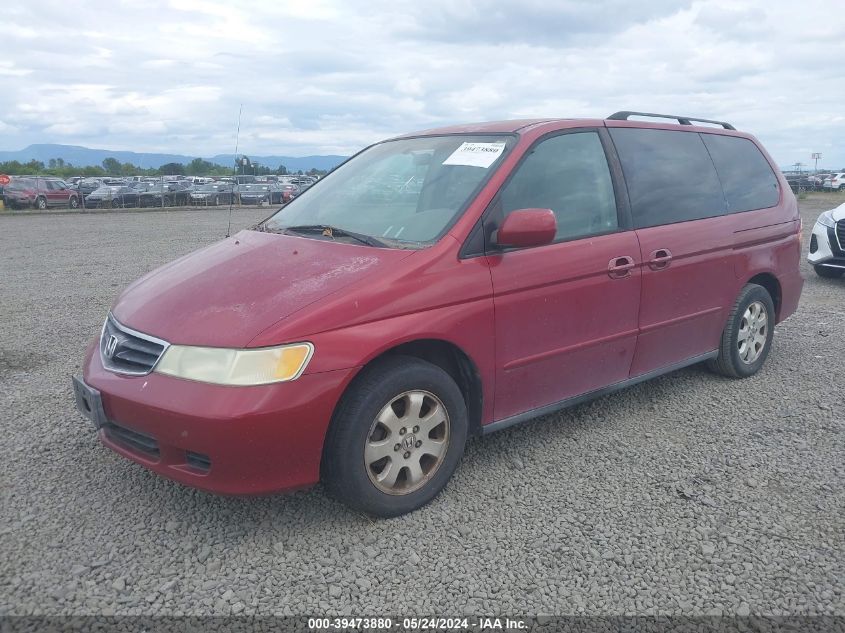 2004 Honda Odyssey Ex-L VIN: 5FNRL18724B002443 Lot: 39473880