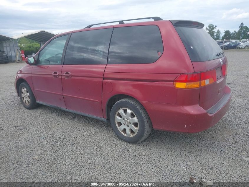 2004 Honda Odyssey Ex-L VIN: 5FNRL18724B002443 Lot: 39473880