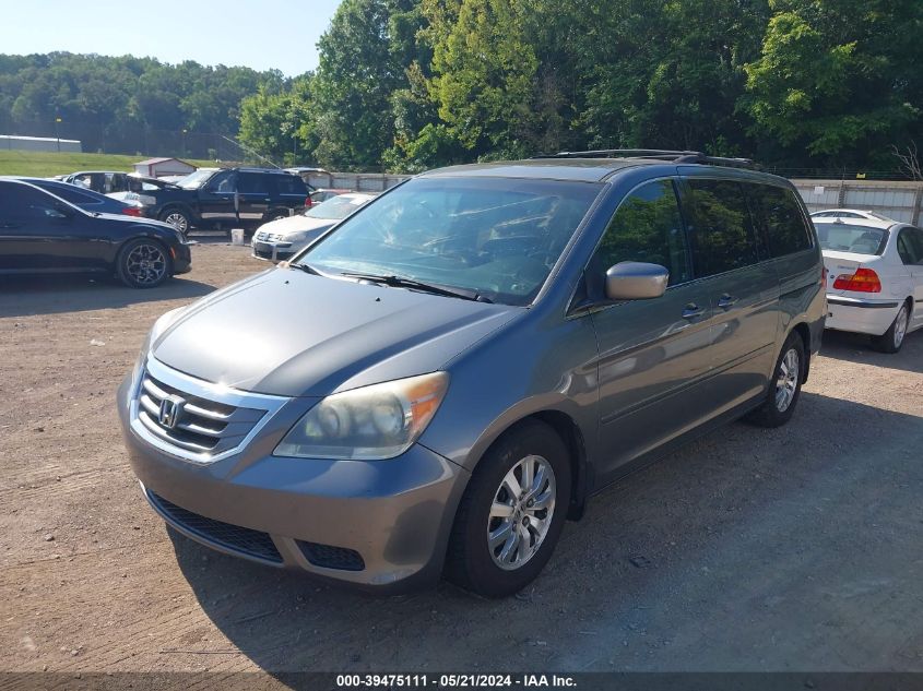 2009 Honda Odyssey Ex-L VIN: 5FNRL38669B403388 Lot: 39475111