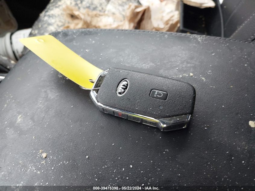 2021 Kia Telluride Ex VIN: 5XYP3DHC0MG182956 Lot: 39475398