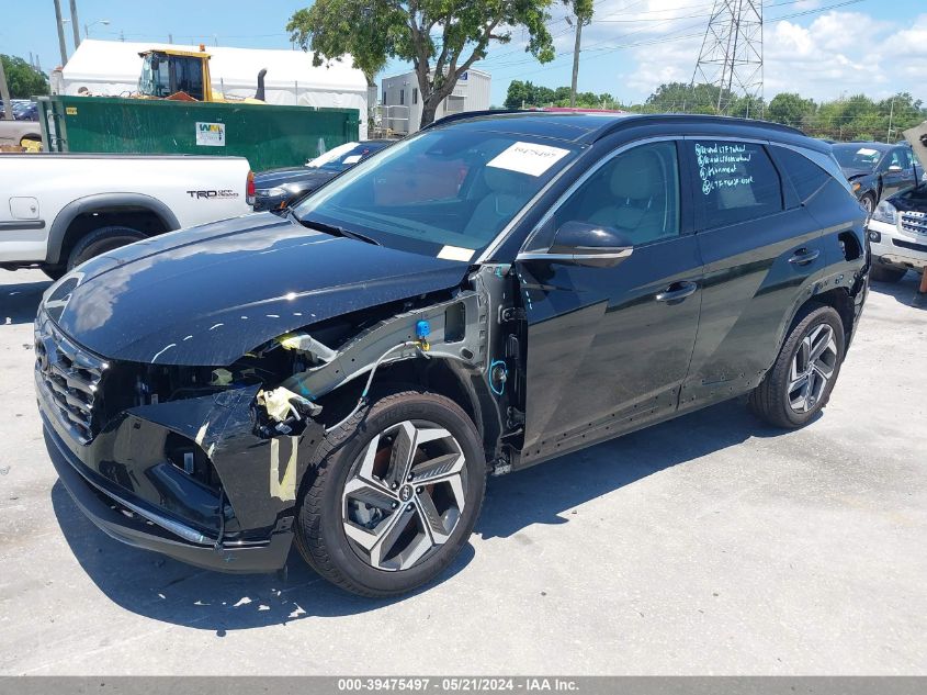 2023 Hyundai Tucson Limited VIN: 5NMJECAE9PH261834 Lot: 39475497