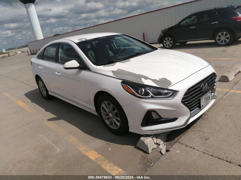 2019 Hyundai Sonata Eco VIN: 5NPE24AA4KH774093 Lot: 39475633