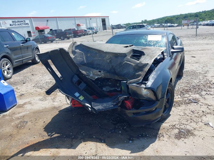 2005 Ford Mustang V6 Deluxe/V6 Premium VIN: 1ZVFT80N955174796 Lot: 39476353