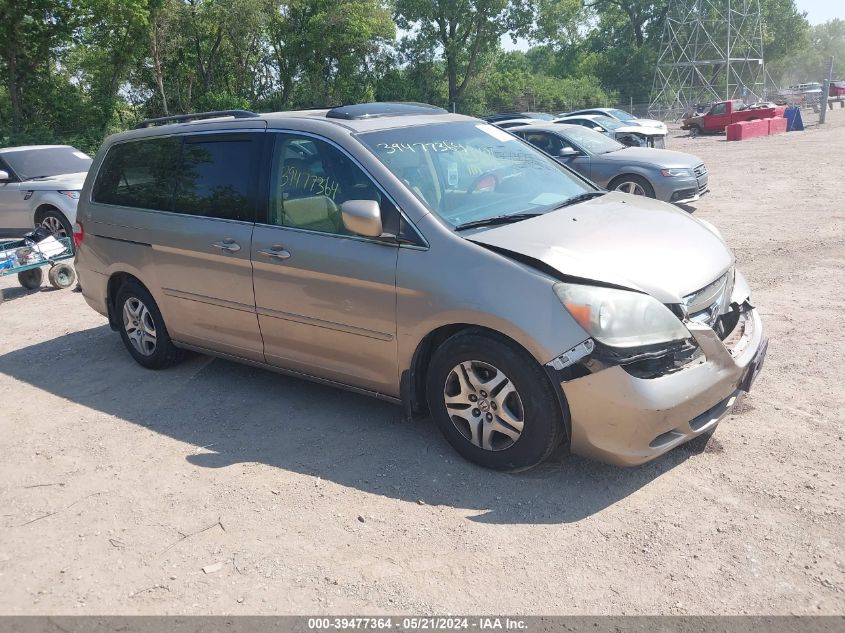 2007 Honda Odyssey Ex-L VIN: 5FNRL38777B427544 Lot: 39477364