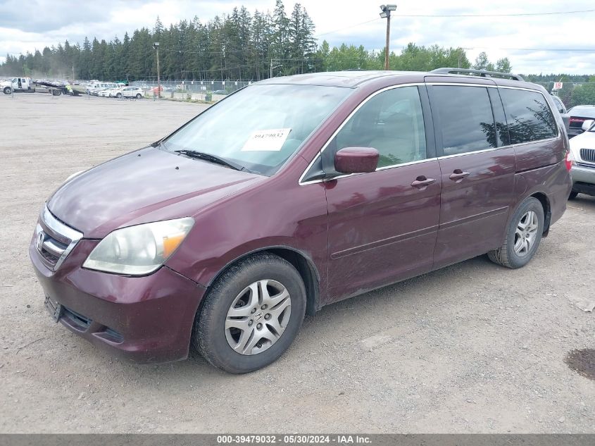 2007 Honda Odyssey Ex-L VIN: 5FNRL38767B059261 Lot: 39479032