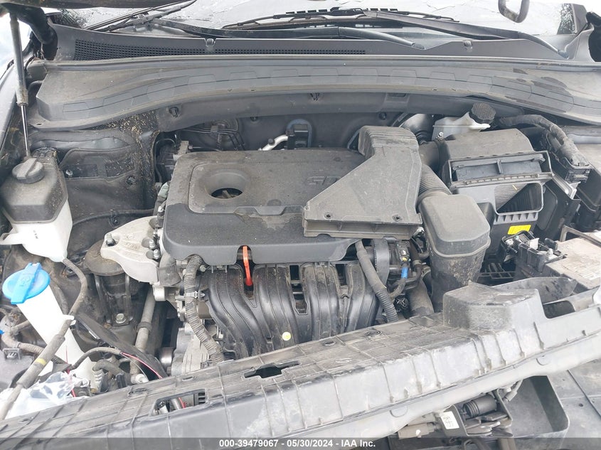 2019 Hyundai Santa Fe Limited VIN: 5NMS53AD2KH008813 Lot: 39479067