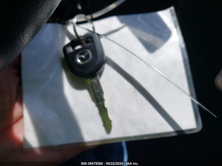 2009 Mazda Mazda3 S Touring VIN: JM1BK323491198990 Lot: 39479260