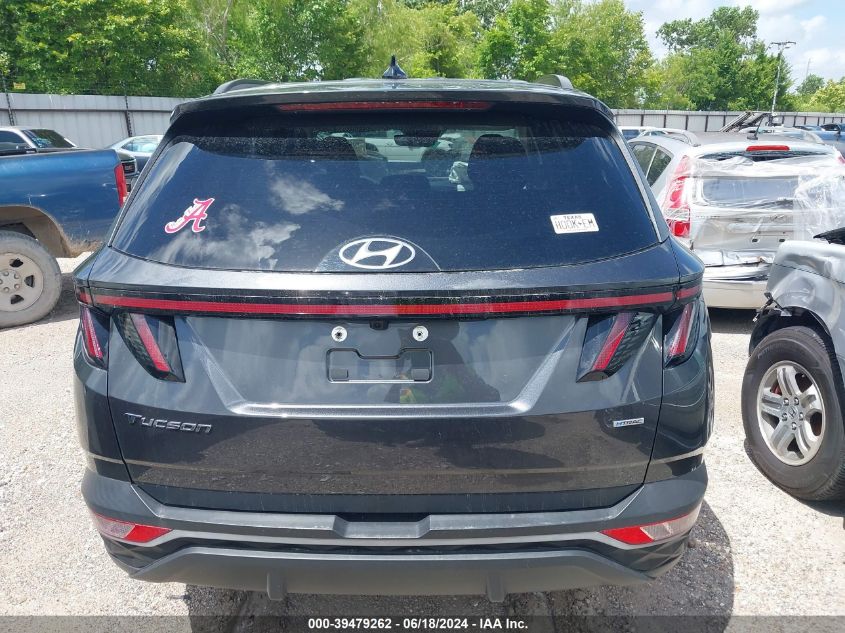 2023 Hyundai Tucson Sel VIN: 5NMJBCAE8PH195642 Lot: 39479262