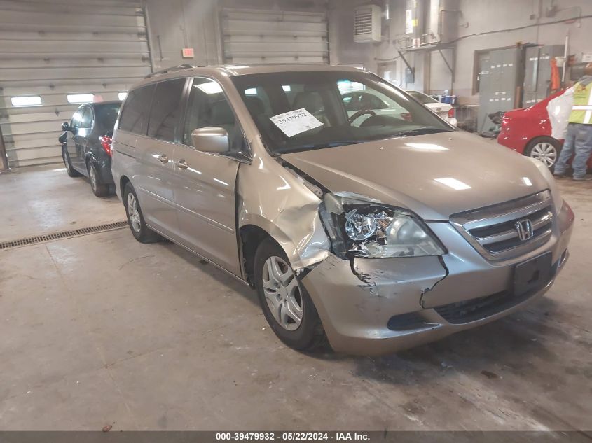 2006 Honda Odyssey Ex-L VIN: 5FNRL38776B060918 Lot: 39479932