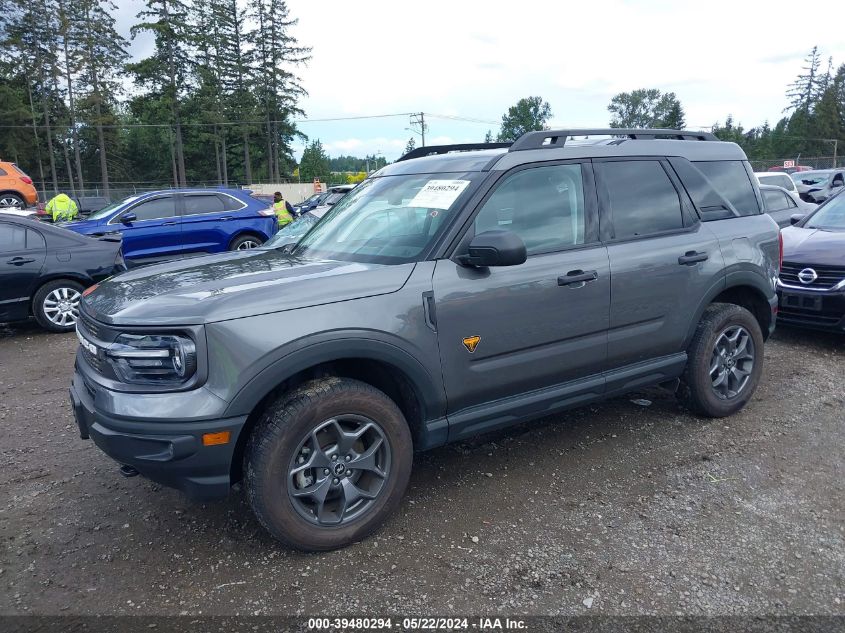 2022 Ford Bronco Sport Badlands VIN: 3FMCR9D95NRE10702 Lot: 39480294