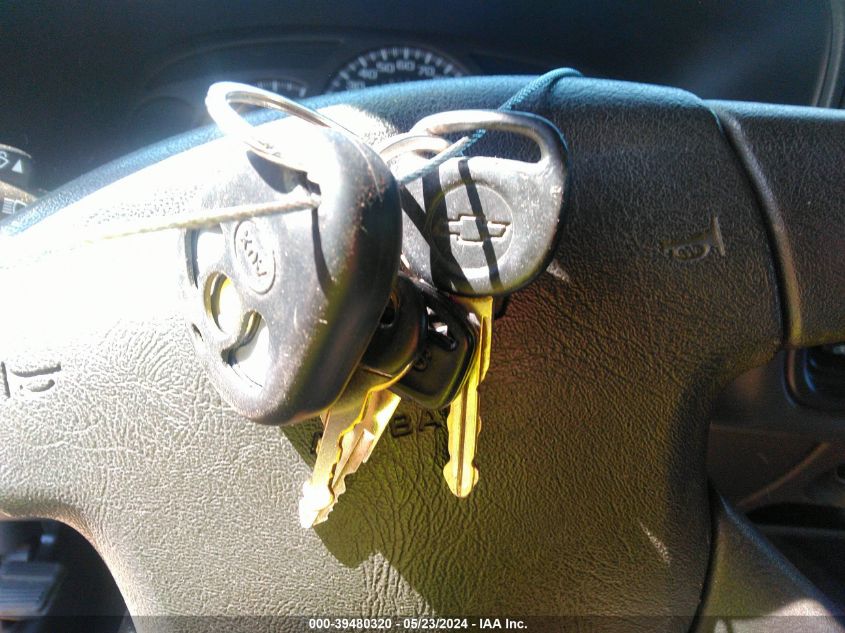 2003 Chevrolet Silverado 1500 Ls VIN: 1GCEC14TX3Z123537 Lot: 39480320