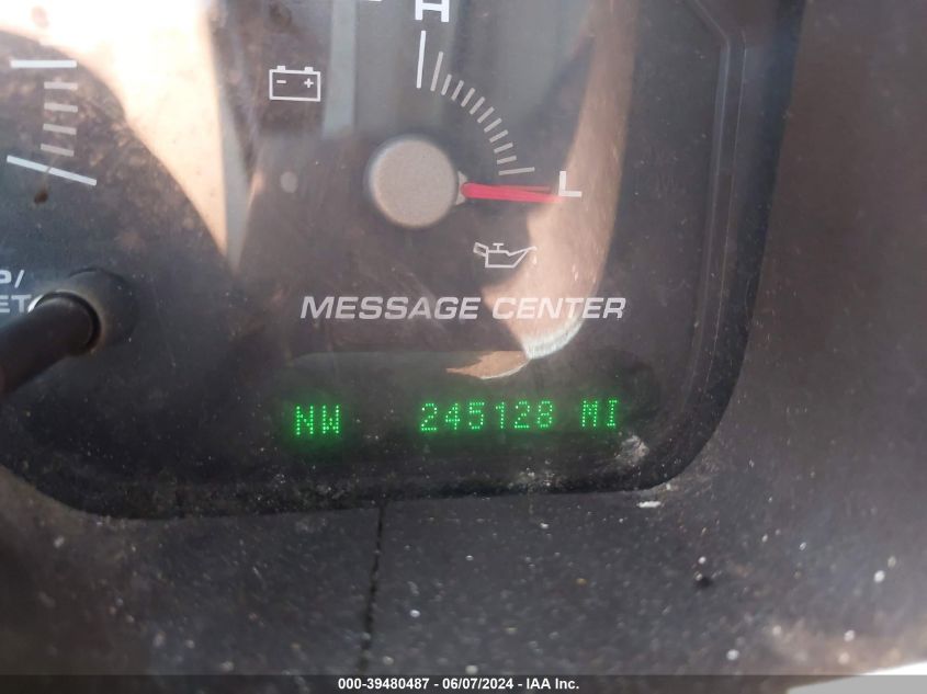 2004 Ford Expedition Eddie Bauer VIN: 1FMRU17W54LB86615 Lot: 39480487