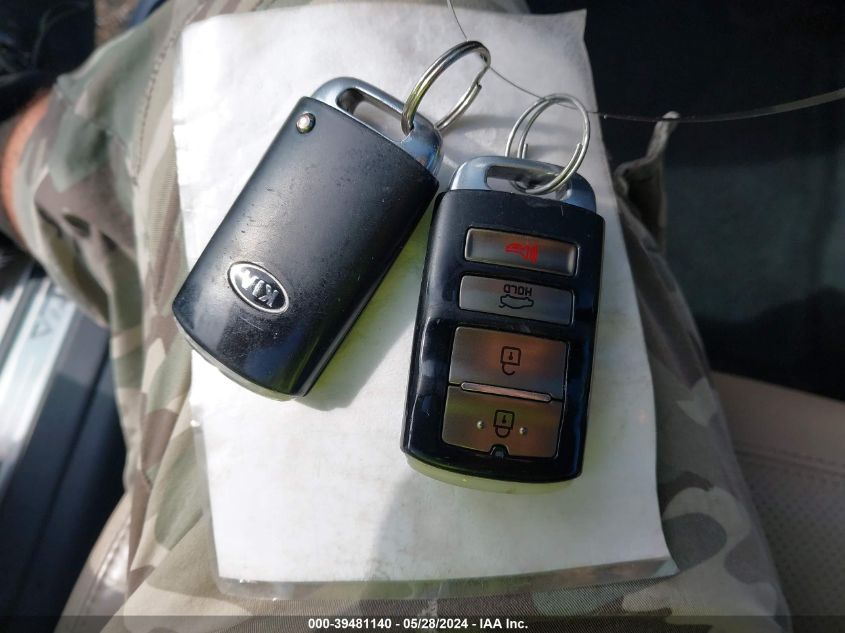 2015 Kia Cadenza Premium VIN: KNALN4D73F5180077 Lot: 39481140