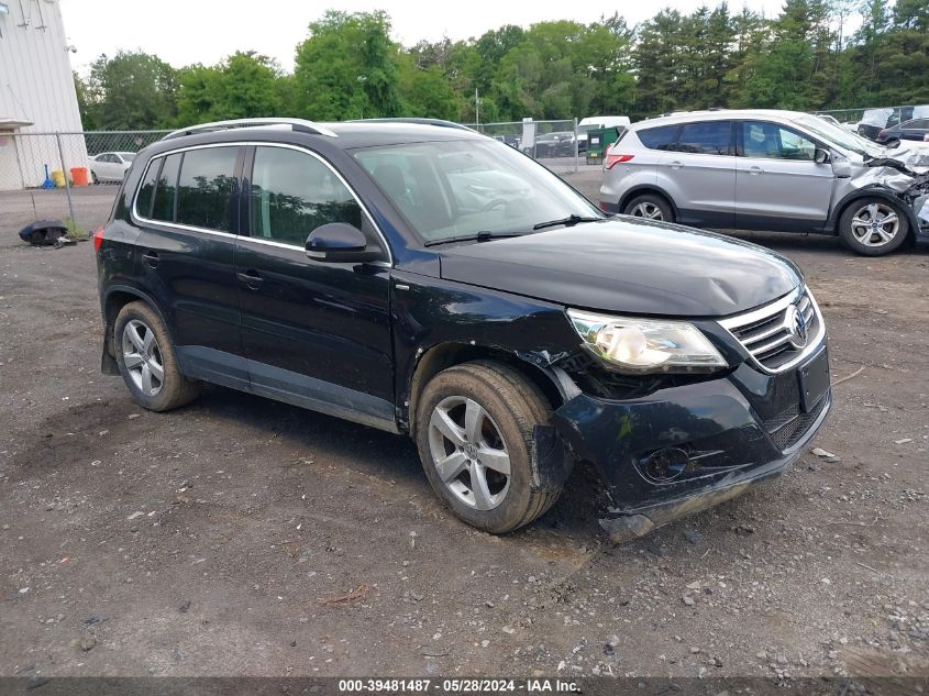 2010 Volkswagen Tiguan Wolfsburg Edition VIN: WVGBV7AX5AW516606 Lot: 39481487