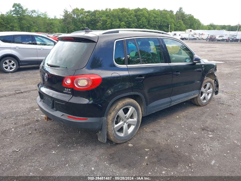 2010 Volkswagen Tiguan Wolfsburg Edition VIN: WVGBV7AX5AW516606 Lot: 39481487