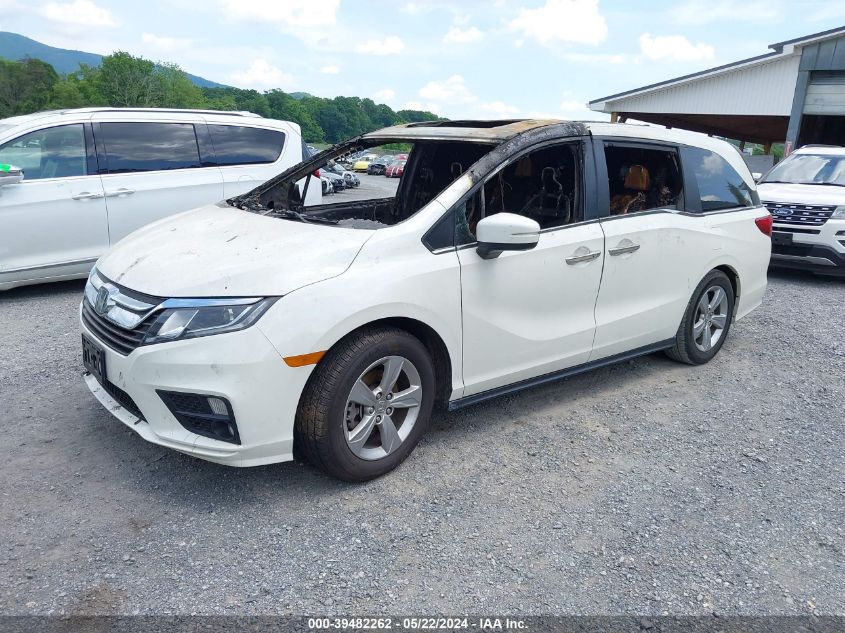 2019 Honda Odyssey Ex-L VIN: 5FNRL6H72KB011492 Lot: 39482262