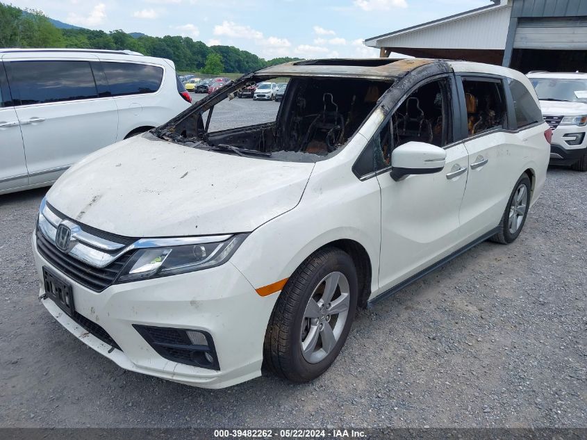 2019 Honda Odyssey Ex-L VIN: 5FNRL6H72KB011492 Lot: 39482262