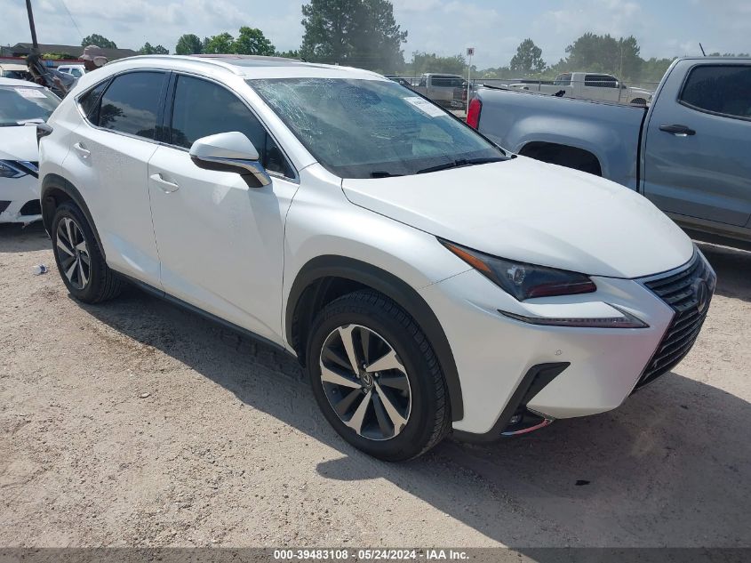 2018 Lexus Nx 300 VIN: JTJYARBZ3J2089856 Lot: 39483108