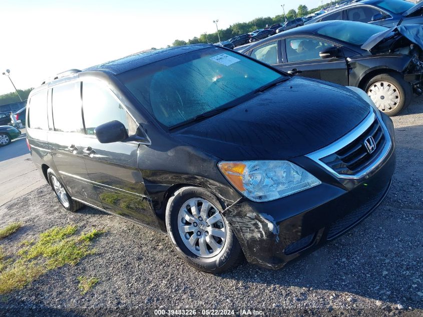 2008 Honda Odyssey Ex-L VIN: 5FNRL38678B100800 Lot: 39483226