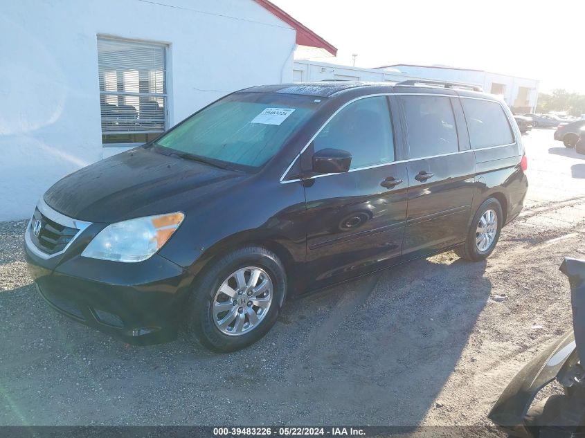 2008 Honda Odyssey Ex-L VIN: 5FNRL38678B100800 Lot: 39483226