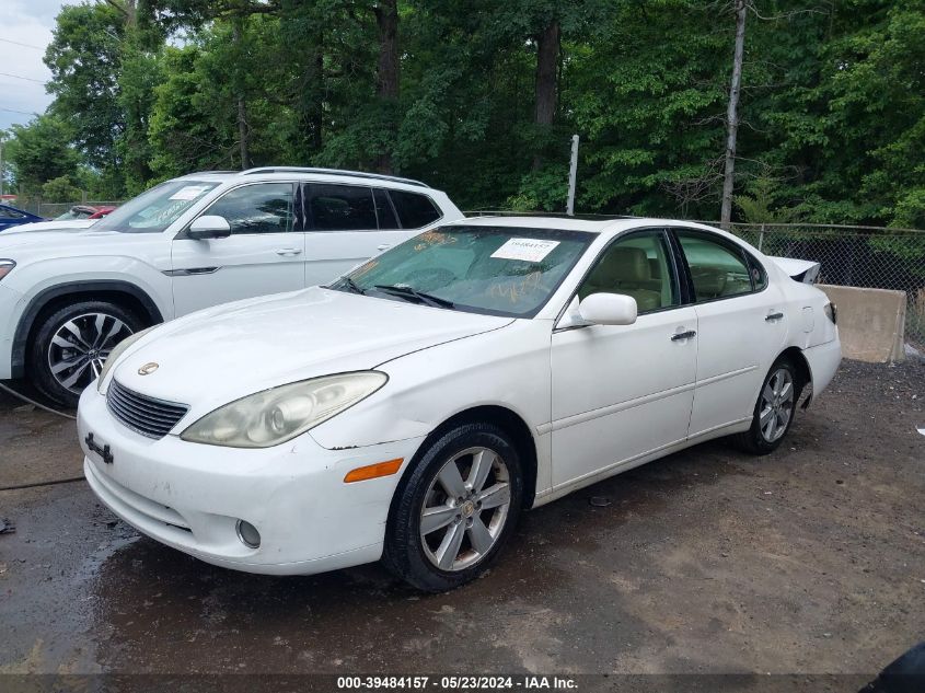 2005 Lexus Es 330 VIN: JTHBA30G055065797 Lot: 39484157