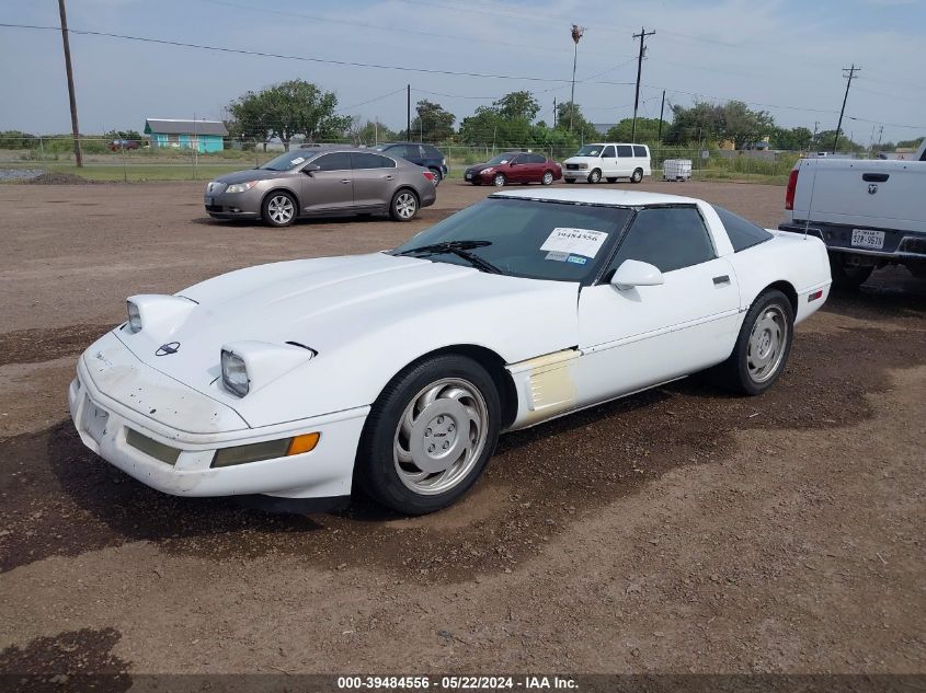 1996 Chevrolet Corvette VIN: 1G1YY22P3T5117489 Lot: 39484556