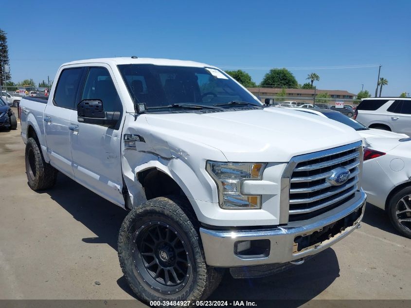 2016 FORD F-150 XLT - 1FTEW1EFXGKE66184