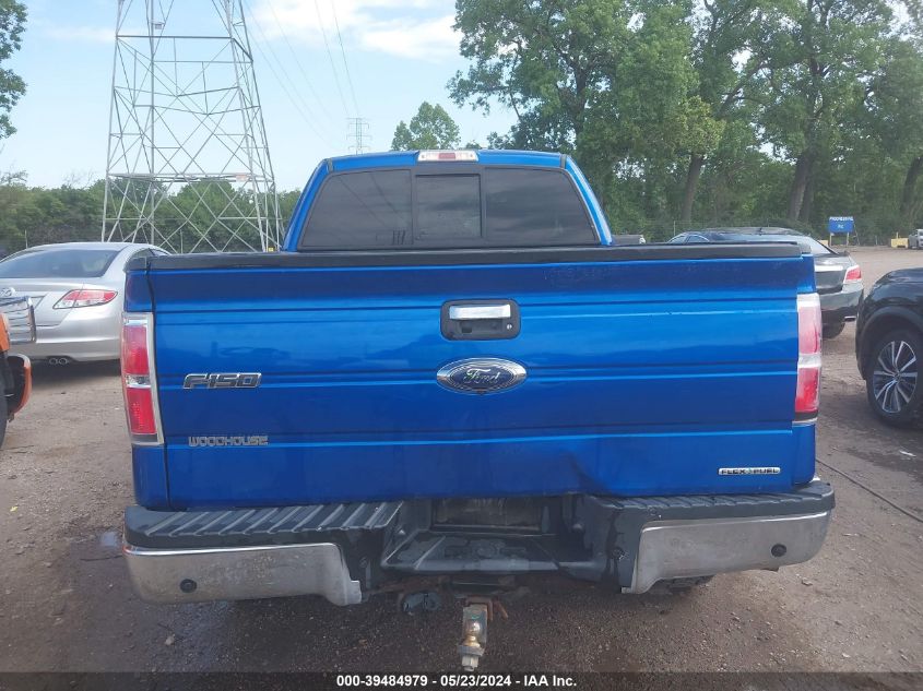 2013 Ford F-150 Xlt VIN: 1FTFX1EF6DFA79508 Lot: 39484979