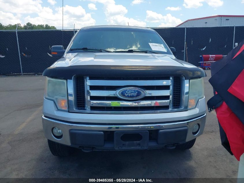 2010 Ford F-150 Fx4/Harley-Davidson/King Ranch/Lariat/Platinum/Xl/Xlt VIN: 1FTFW1EV1AKC01866 Lot: 39485355